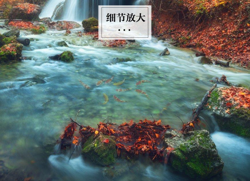 省政协委员分组讨论有关人事事项